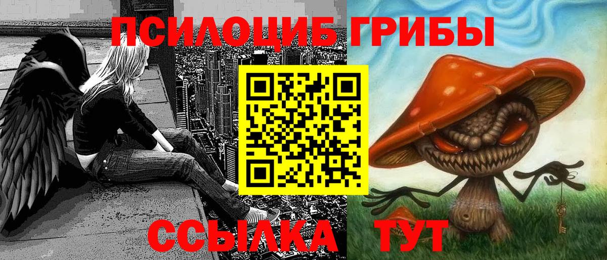 Псилоцибиновые грибы прущие грибы Корсаков
