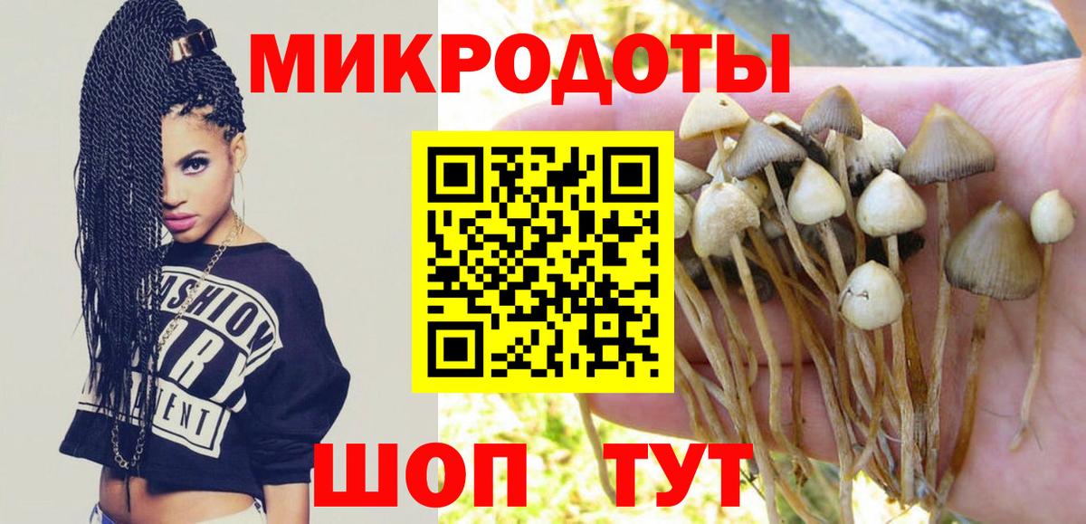 Корсаков  Галлюциногенные грибы ЛСД  Вход с VPN 